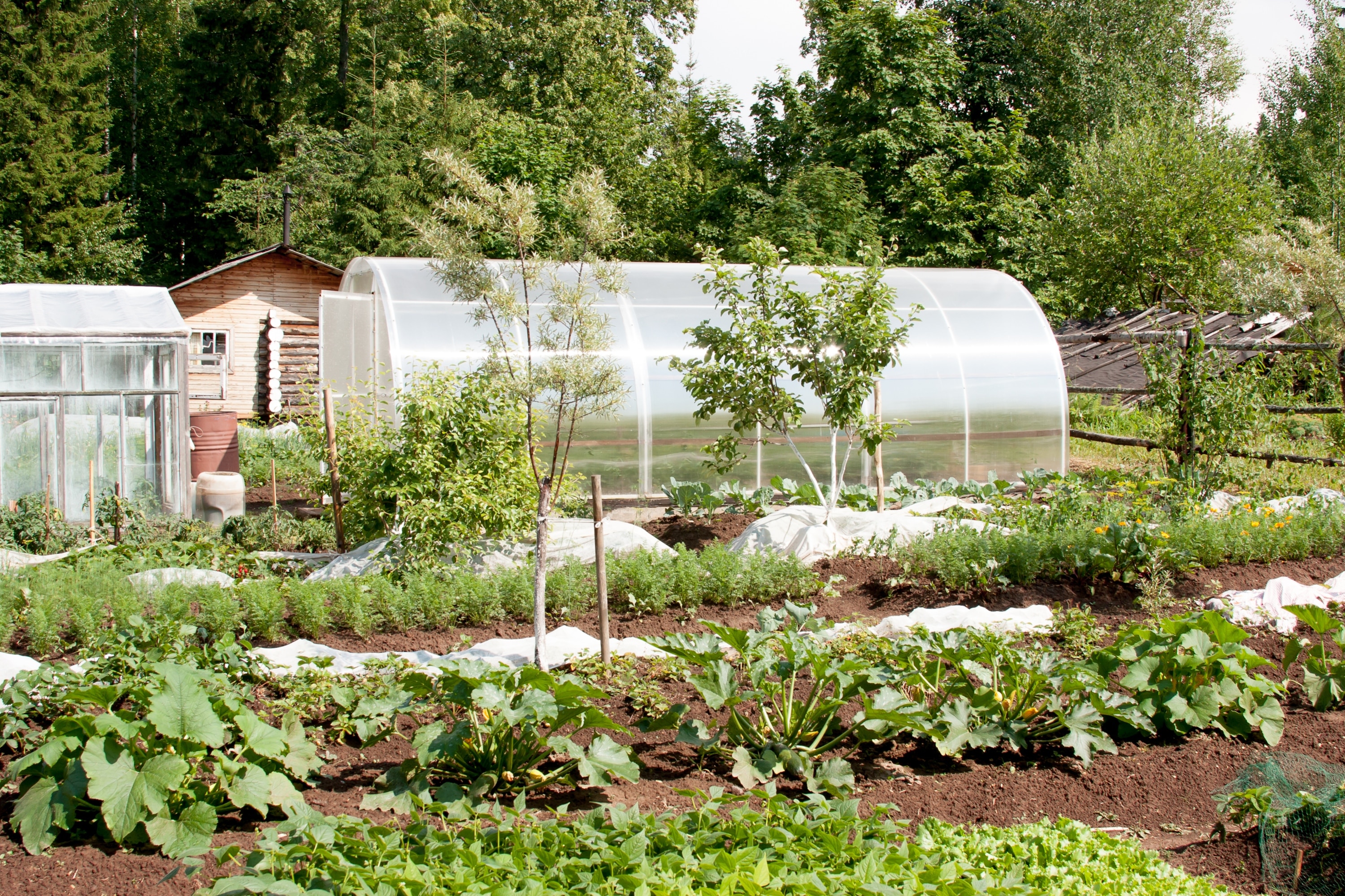 tuinieren in de herfst moestuin